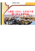 人教版（2022新课标）七年级下册第一单元专课专练(68页）